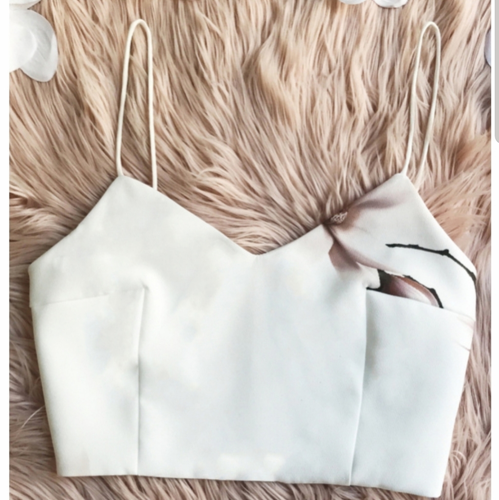 NWT Hellomolly Amore Crop Top